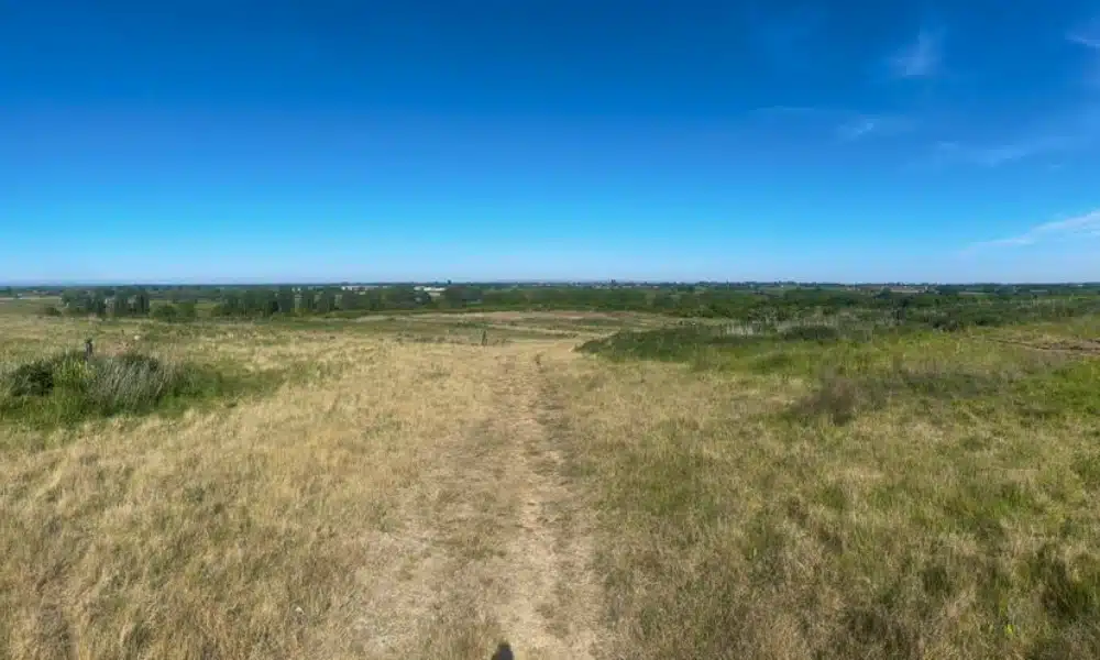 Sustainable surveys 1